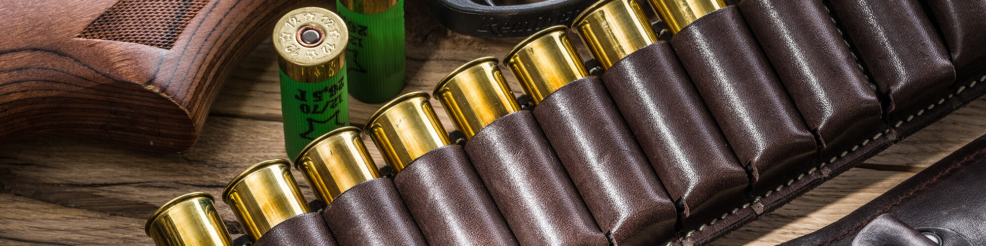 Shotgun Ammo